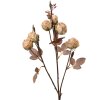 Clayre & Eef 6PL0330W Decoración Rama Flores Beige Marrón 16x9x73 cm