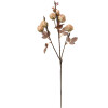 Clayre & Eef 6PL0330W Decoración Rama Flores Beige Marrón 16x9x73 cm
