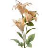 Clayre & Eef 6PL0337Y Decoración Ramo Flores Beige Verde 15x10x72 cm