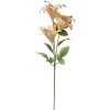 Clayre & Eef 6PL0337Y Decoración Ramo Flores Beige Verde 15x10x72 cm