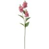 Clayre & Eef 6PL0338P Decoración Rama con Flores Rosa Verde 12x5x71 cm