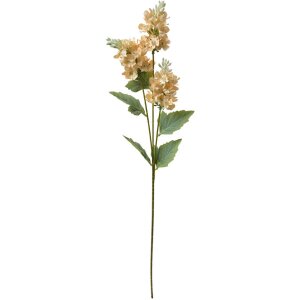 Clayre & Eef 6PL0338W Ramo Decorativo Flores Beige...