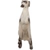 Clayre & Eef 5MG0048 Decoración Perro Beige Marrón 37x24x79 cm