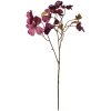 Clayre & Eef 5PL0113R Flor artificial Morado 12x8x72 cm
