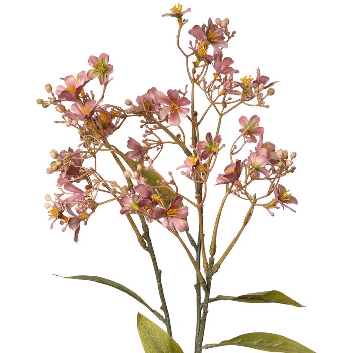 Clayre & Eef 5PL0122P Decoración rama con flores 15x7x70 cm