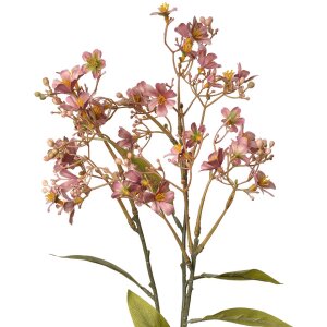 Clayre & Eef 5PL0122P Decoración rama con...