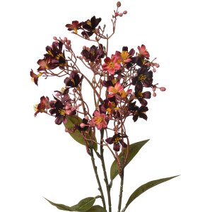 Clayre & Eef 5PL0122R Decoración Rama con...