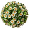 Clayre & Eef 6PL0324M Bola decorativa flor artificial margarita Ø 22 cm