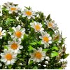 Clayre & Eef 6PL0324M Bola decorativa flor artificial margarita Ø 22 cm