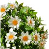 Clayre & Eef 6PL0324S Flor artificial decorativa bola margarita Ø 17 cm