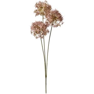 Clayre & Eef 6PL0326P Rama Decorativa con Flores Rosa 10x10x62 cm