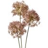 Clayre & Eef 6PL0326P Rama Decorativa con Flores Rosa 10x10x62 cm