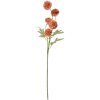 Clayre & Eef 6PL0331O Rama Decorativa con Flores Naranja Verde 5x5x50 cm