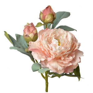 Clayre & Eef 6PL0332P Flor artificial Rosa 12x12x62 cm