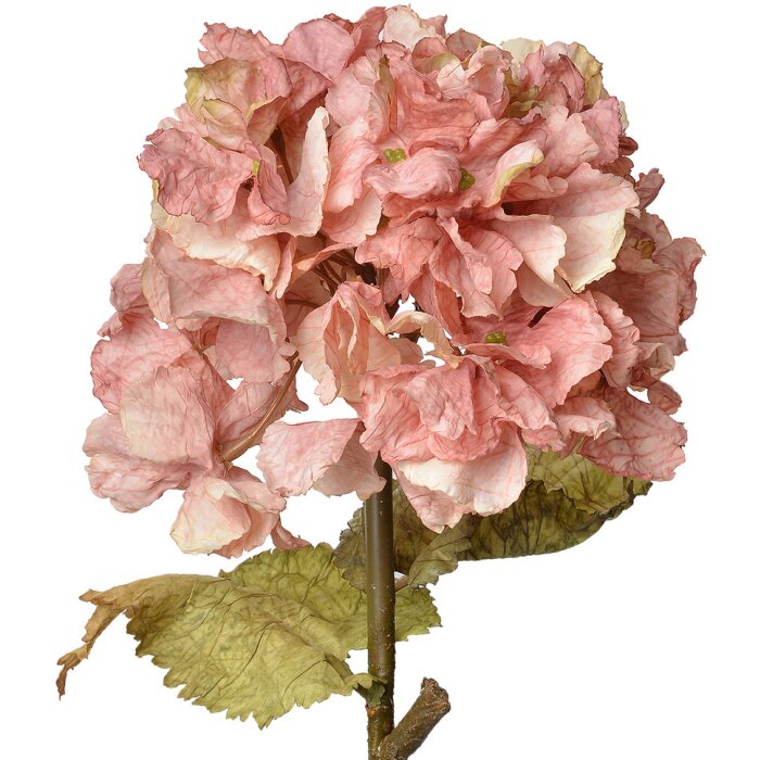 Clayre & Eef 6PL0333P Rama Decorativa con Flores Rosa 10x10x55 cm