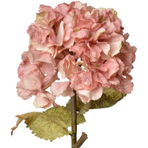 Clayre & Eef 6PL0333P Rama Decorativa con Flores Rosa...