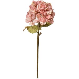 Clayre & Eef 6PL0333P Rama Decorativa con Flores Rosa 10x10x55 cm