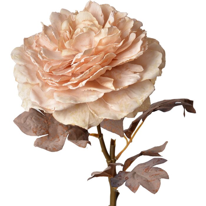 Clayre & Eef 6PL0334 Flor artificial Rosa 10x10x60 cm