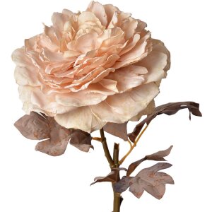 Clayre & Eef 6PL0334 Flor artificial Rosa 10x10x60 cm