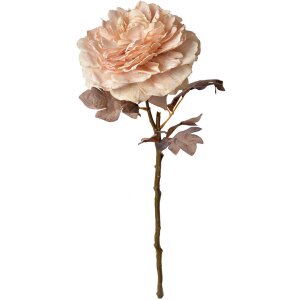 Clayre & Eef 6PL0334 Flor artificial Rosa 10x10x60 cm