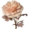 Clayre & Eef 6PL0334 Flor artificial Rosa 10x10x60 cm