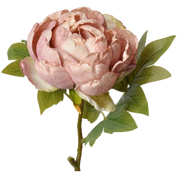 Clayre & Eef 6PL0335 Flor artificial Rosa 10x10x48 cm