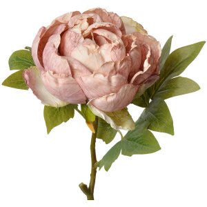 Clayre & Eef 6PL0335 Flor artificial Rosa 10x10x48 cm