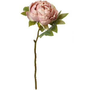 Clayre & Eef 6PL0335 Flor artificial Rosa 10x10x48 cm