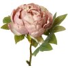 Clayre & Eef 6PL0335 Flor artificial Rosa 10x10x48 cm