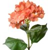 Clayre & Eef 5PL0137O Flor artificial Naranja Verde 16x15x68 cm