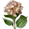 Clayre & Eef 5PL0137P Ramo de flores artificial Rosa Verde 16x15x68 cm