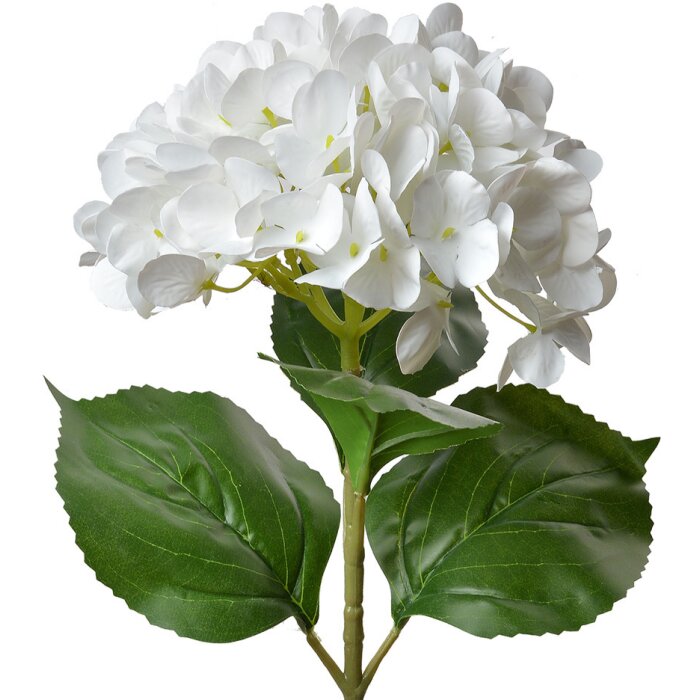 Clayre & Eef 5PL0137W Ramo de flores artificial Blanco Verde 16x15x68 cm