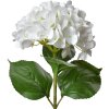 Clayre & Eef 5PL0137W Ramo de flores artificial Blanco Verde 16x15x68 cm
