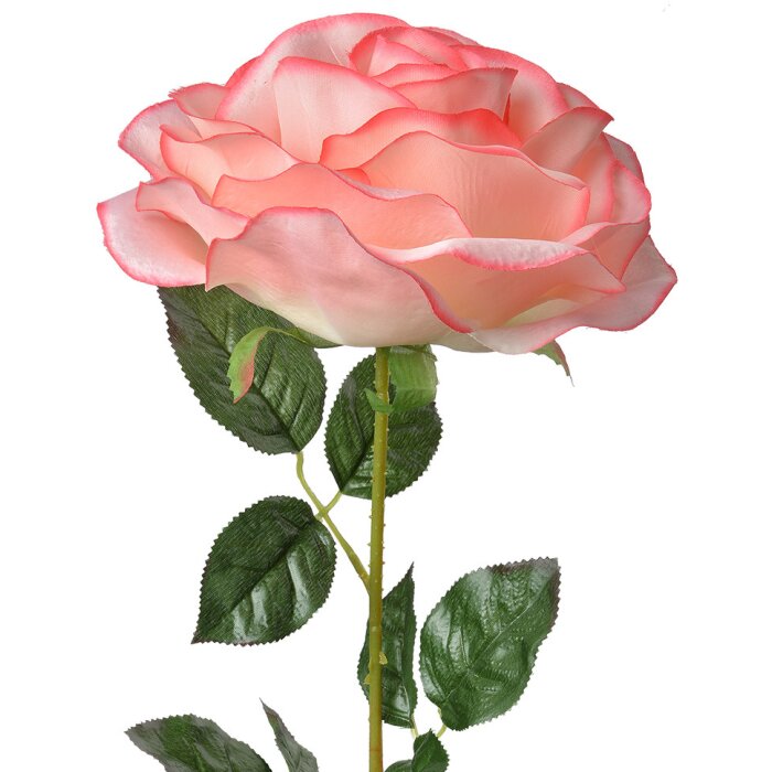 Clayre & Eef 5PL0138P Flor artificial Rosa Verde 19x19x75 cm