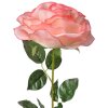 Clayre & Eef 5PL0138P Flor artificial Rosa Verde 19x19x75 cm