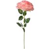 Clayre & Eef 5PL0138P Flor artificial Rosa Verde 19x19x75 cm