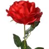 Clayre & Eef 5PL0138R Flor artificial Rosa Roja Verde 19x19x75 cm