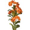Clayre & Eef 6PL0344O Ramo Decorativo Flores Naranja Verde 17x14x70 cm