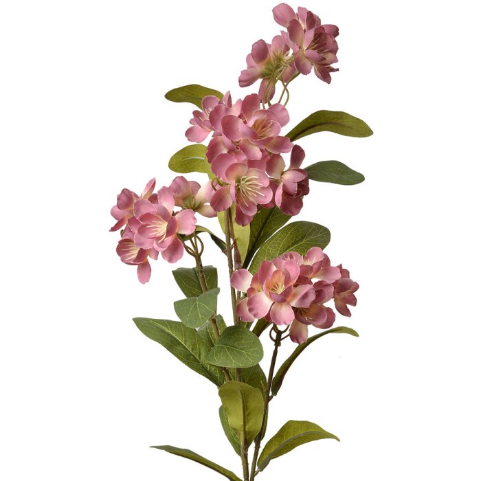 Clayre & Eef 6PL0344P Rama Decorativa con Flores Rosa Verde 17x14x70 cm