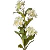 Clayre & Eef 6PL0344W Ramo Decorativo Flores Blanco Verde 17x14x70 cm