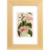 Marco Goldbuch Rustiq natural 10x15 cm con passe-partout 7x10 cm