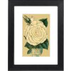 Marco Goldbuch Rustiq negro 15x20 cm con passe-partout 10x15 cm