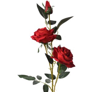 Clayre & Eef 6PL0358 Rosa Floral Artificial 17x13x94 cm