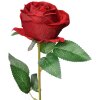 Clayre & Eef 6PL0359BU Flor artificial Rosa Burdeos 8x8x50 cm