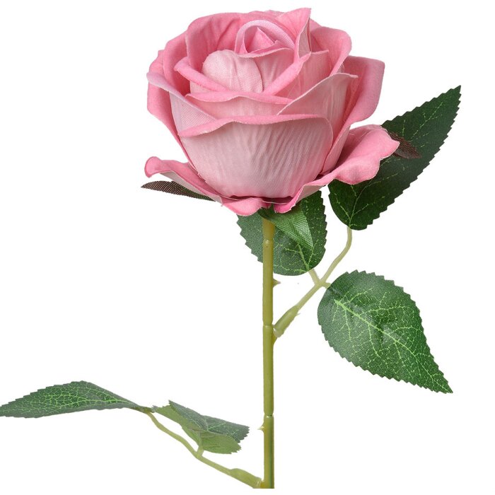 Clayre & Eef 6PL0359P Rosa flor artificial 8x8x50 cm