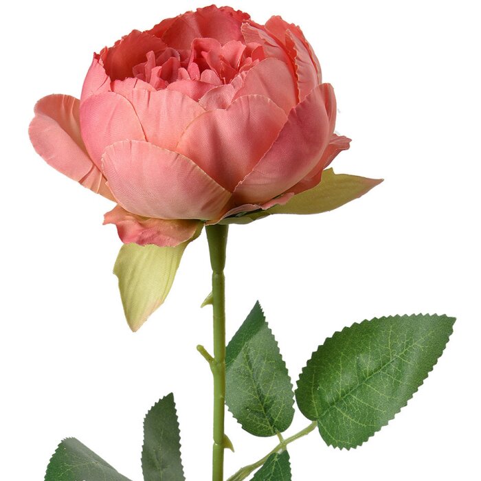 Clayre & Eef 6PL0366DP Rosa flor artificial 8x8x62 cm