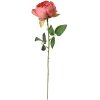 Clayre & Eef 6PL0366DP Rosa flor artificial 8x8x62 cm