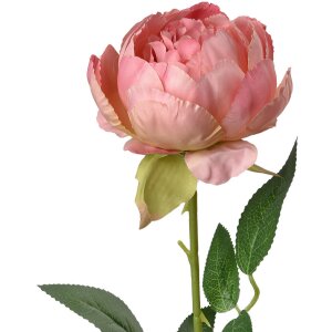 Clayre & Eef 6PL0366P Rosa flor artificial 8x8x62 cm