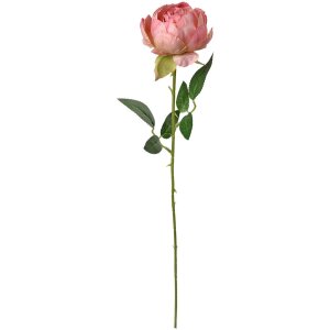 Clayre & Eef 6PL0366P Rosa flor artificial 8x8x62 cm