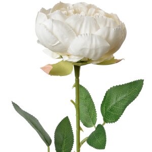 Clayre & Eef 6PL0366W Flor artificial Rosa blanca...